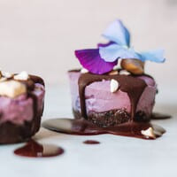 A piece of Currant cheesecake